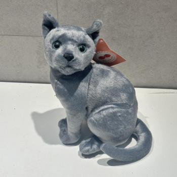 Котик серый