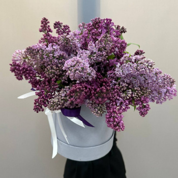 Композиция из сирени