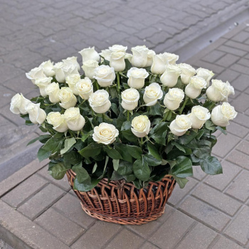 Корзина из 51 белой мондиали 