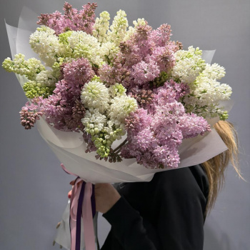 Букет из сирени